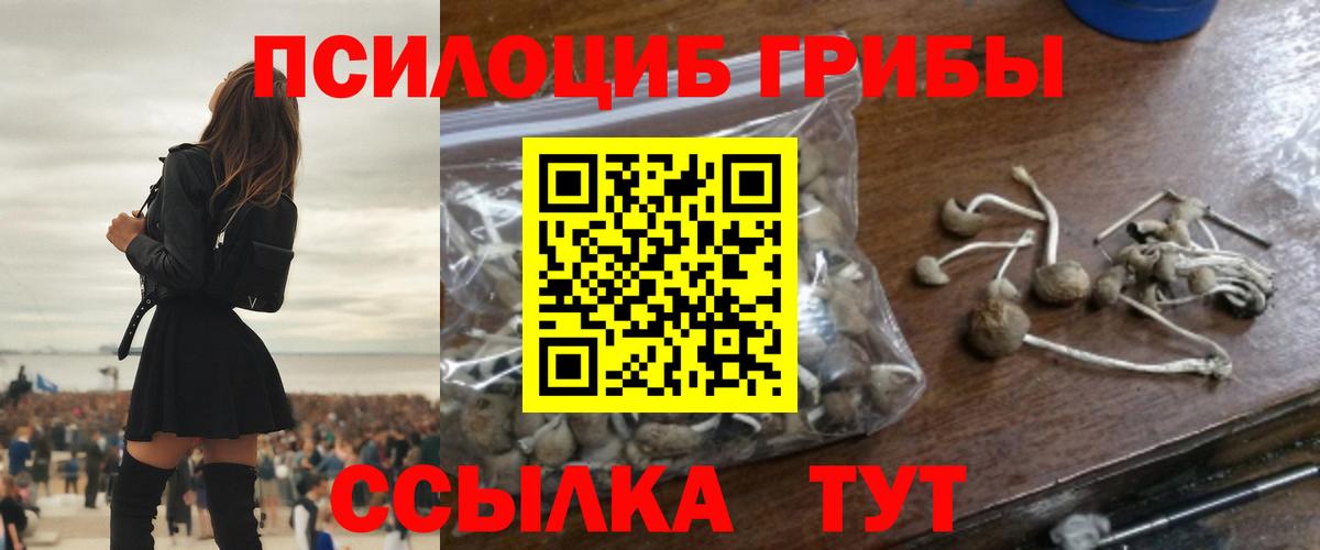 Каменск-Шахтинский  Галлюциногенные грибы прущие грибы  как найти   Вход с VPN 